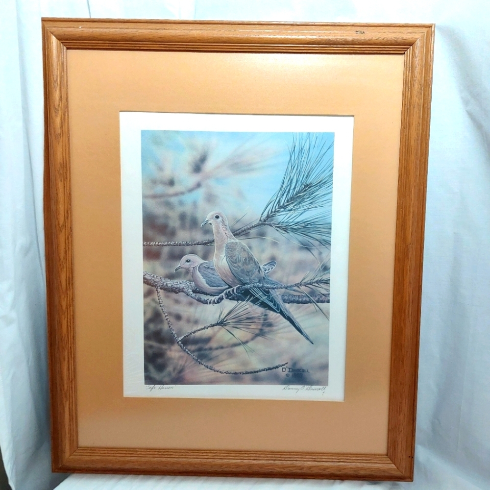 Danny O'Driscoll "Safe Haven" 11"x14" Print Framed Matted‎ Signed